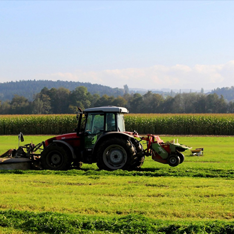 agriculture