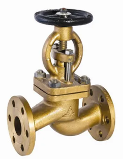 Globe Check Valve